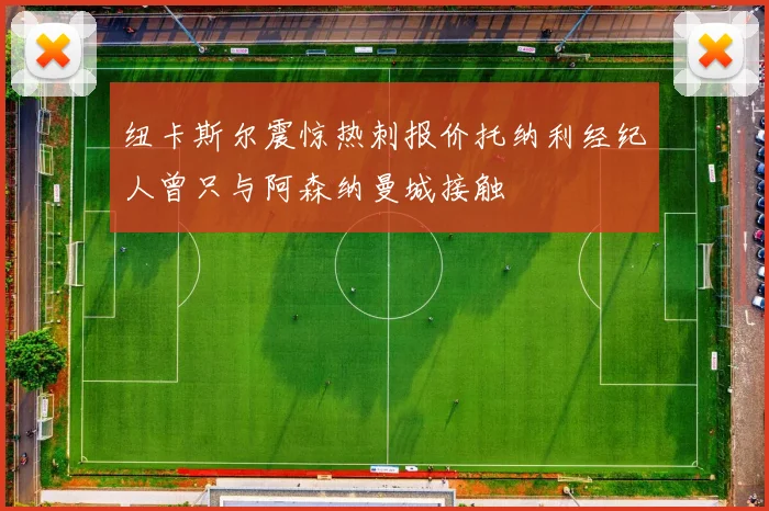 纽卡斯尔震惊热刺报价托纳利经纪人曾只与阿森纳曼城接触